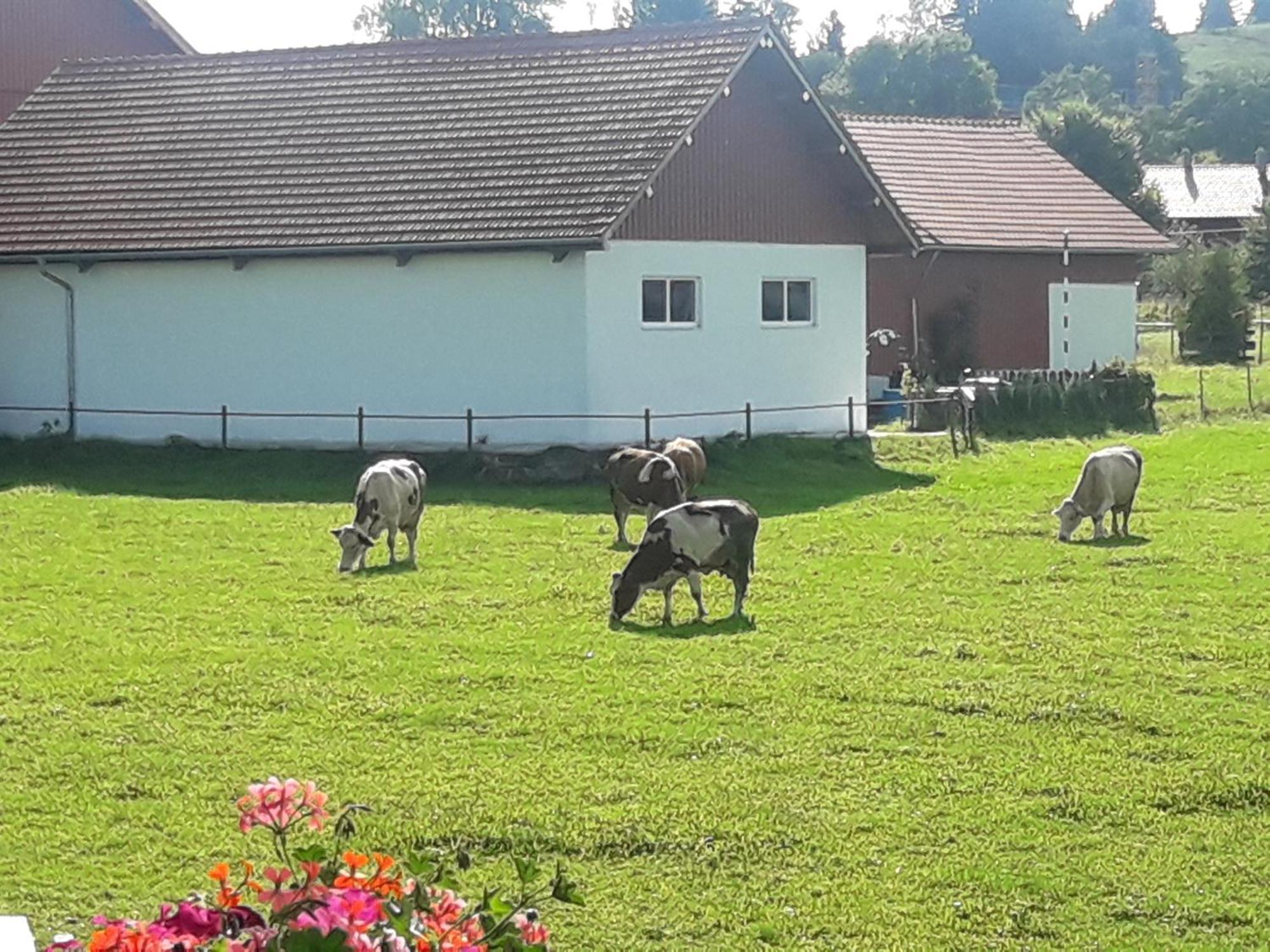 Gaestehaus Reisacher - Einzelzimmer Peiting Eksteriør billede